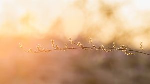 metodo louise hay: relazioni amorose sane e felici