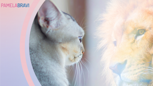 affermazioni per l'autostima louise hay pamela bravi life coach